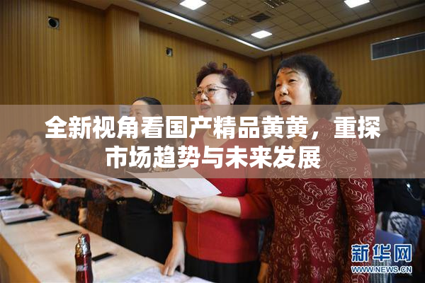 全新视角看国产精品黄黄，重探市场趋势与未来发展