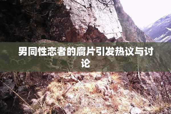 男同性恋者的腐片引发热议与讨论