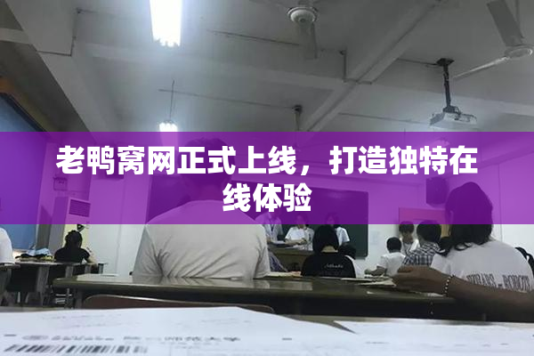 老鸭窝网正式上线，打造独特在线体验