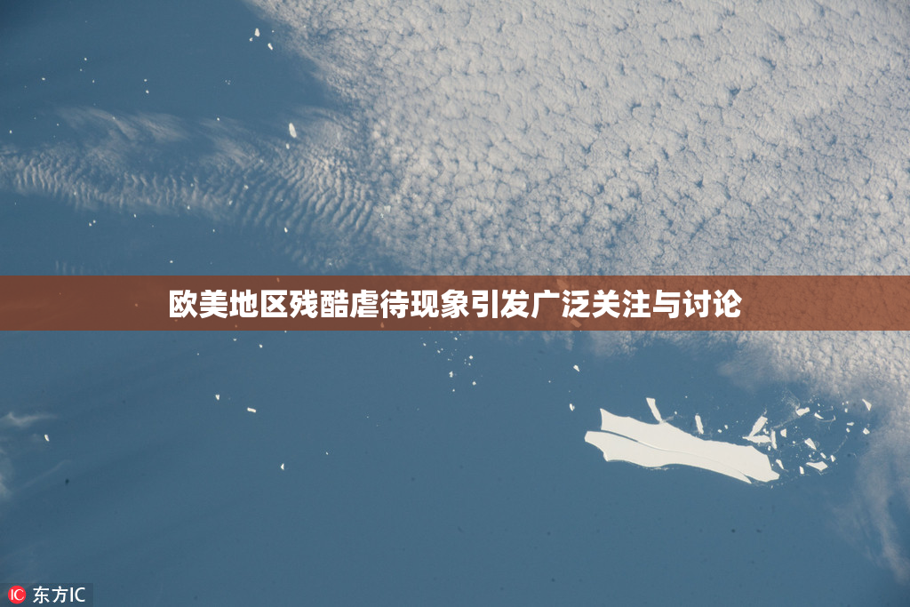 欧美地区残酷虐待现象引发广泛关注与讨论