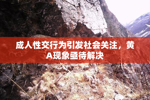 成人性交行为引发社会关注，黄A现象亟待解决