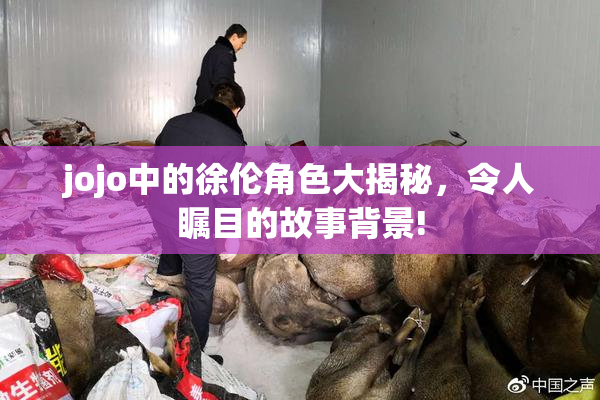 jojo中的徐伦角色大揭秘，令人瞩目的故事背景!