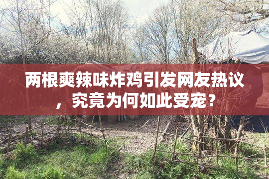 两根爽辣味炸鸡引发网友热议，究竟为何如此受宠？