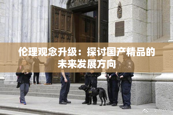 伦理观念升级：探讨国产精品的未来发展方向