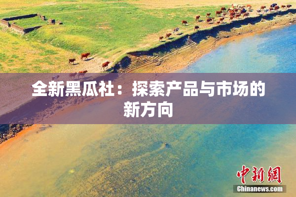 全新黑瓜社：探索产品与市场的新方向