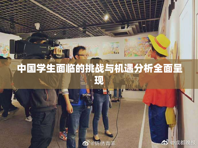 中国学生面临的挑战与机遇分析全面呈现