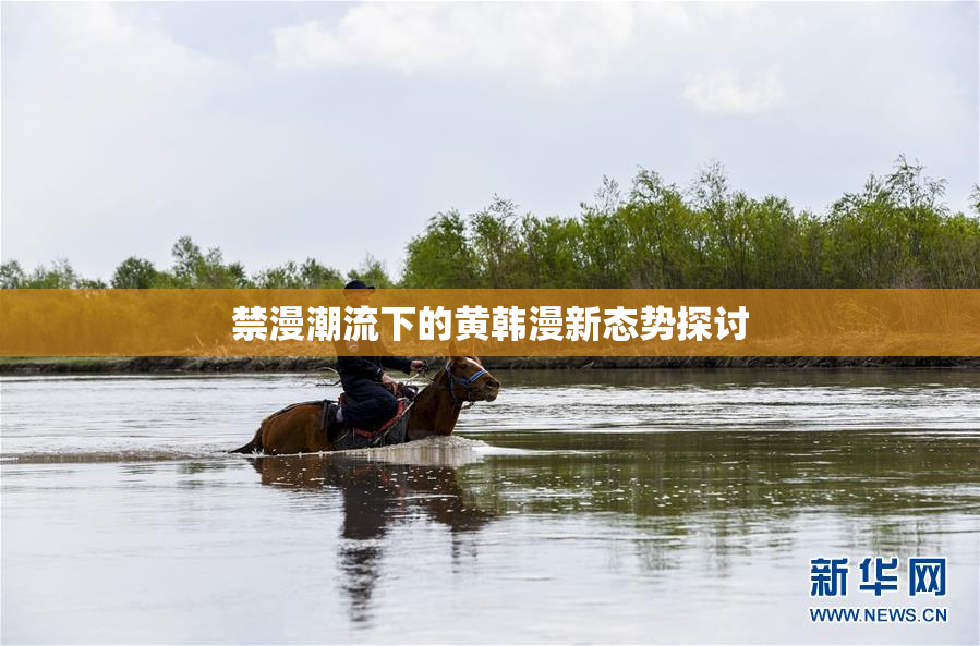 禁漫潮流下的黄韩漫新态势探讨