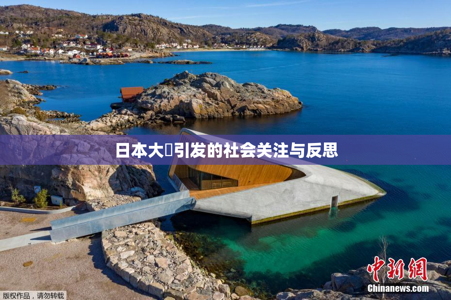 日本大隂引发的社会关注与反思