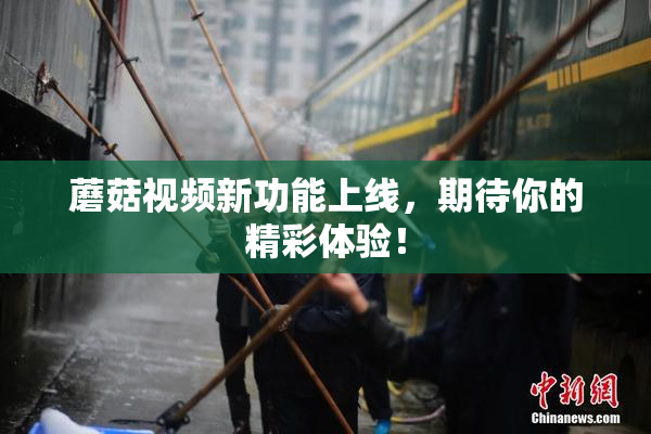 蘑菇视频新功能上线，期待你的精彩体验！