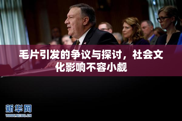 毛片引发的争议与探讨，社会文化影响不容小觑