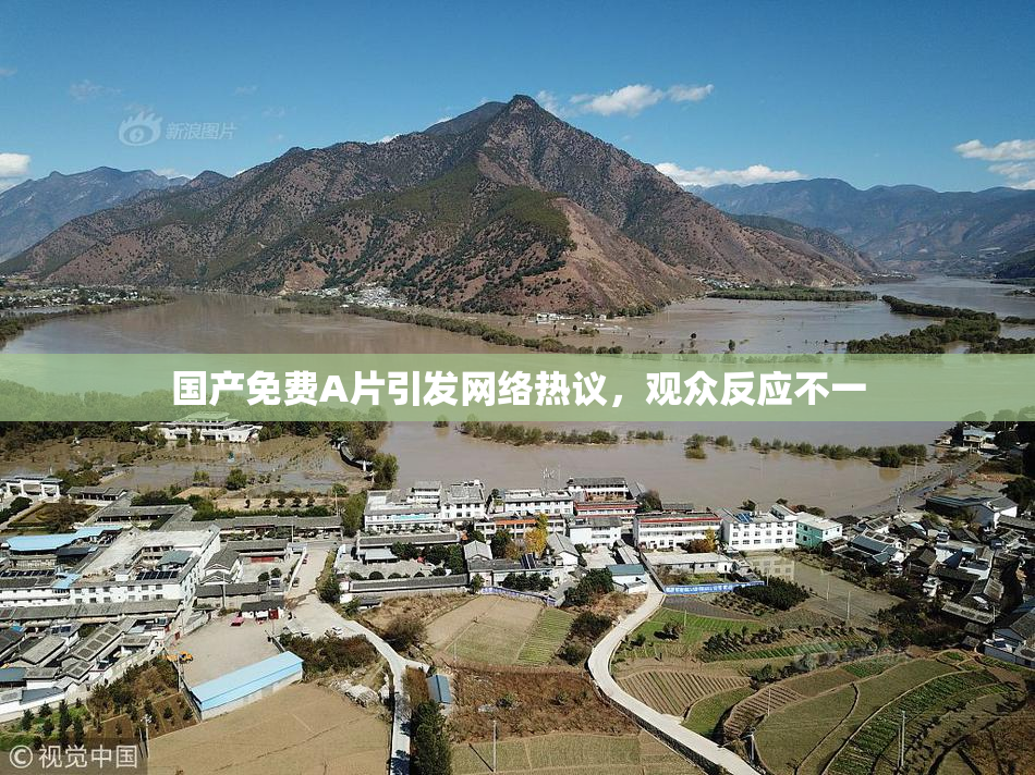 国产免费A片引发网络热议，观众反应不一