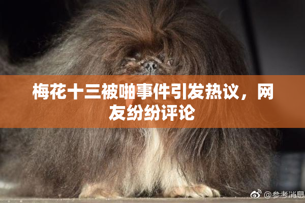 梅花十三被啪事件引发热议，网友纷纷评论