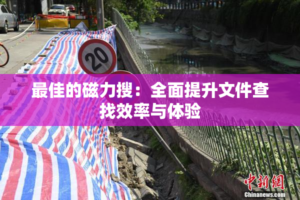最佳的磁力搜：全面提升文件查找效率与体验