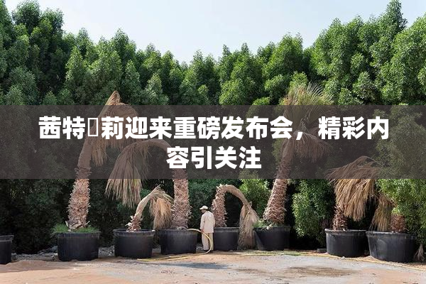茜特菈莉迎来重磅发布会，精彩内容引关注