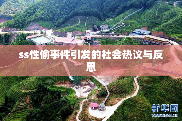 ss性偷事件引发的社会热议与反思