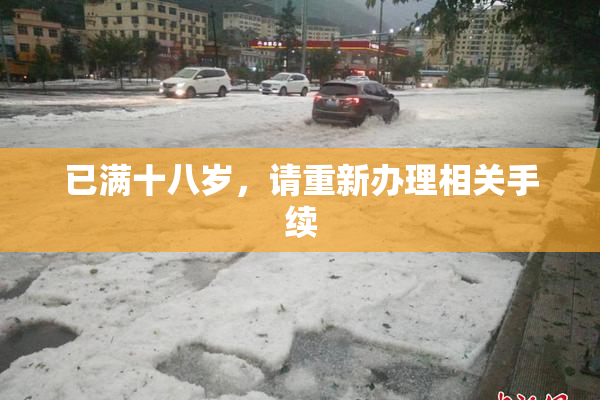 已满十八岁，请重新办理相关手续