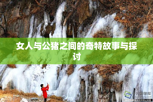 女人与公猪之间的奇特故事与探讨