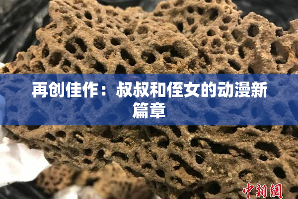再创佳作：叔叔和侄女的动漫新篇章