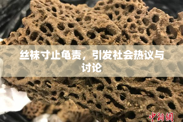 丝袜寸止龟责，引发社会热议与讨论