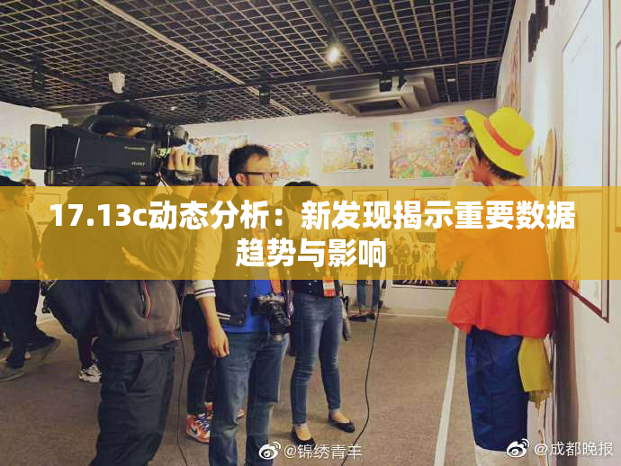 17.13c动态分析：新发现揭示重要数据趋势与影响