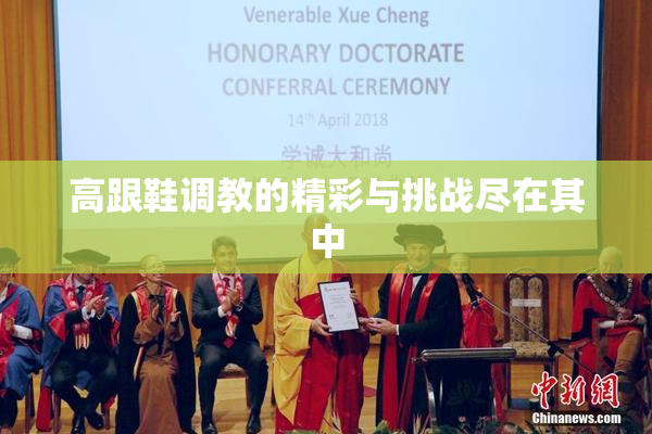 高跟鞋调教的精彩与挑战尽在其中