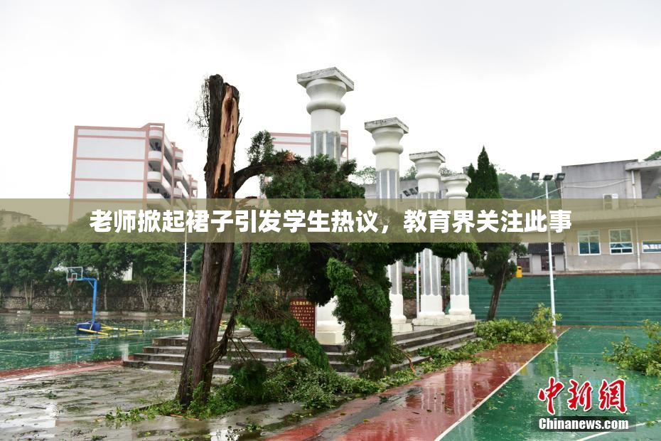 老师掀起裙子引发学生热议，教育界关注此事