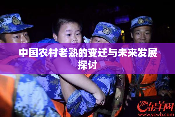 中国农村老熟的变迁与未来发展探讨