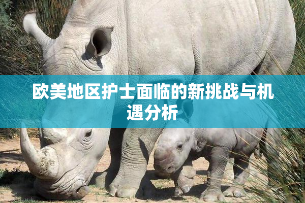 欧美地区护士面临的新挑战与机遇分析