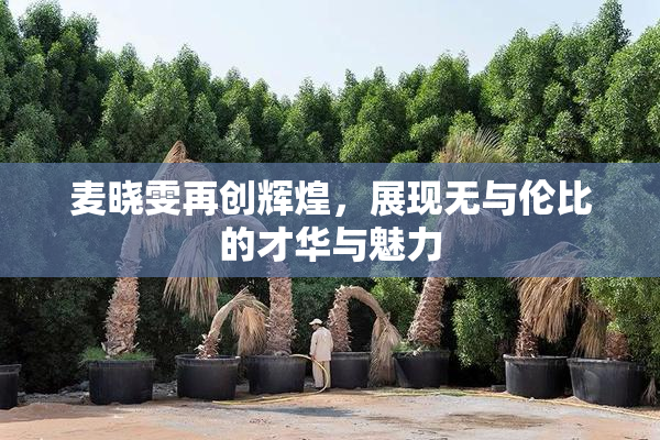 麦晓雯再创辉煌，展现无与伦比的才华与魅力
