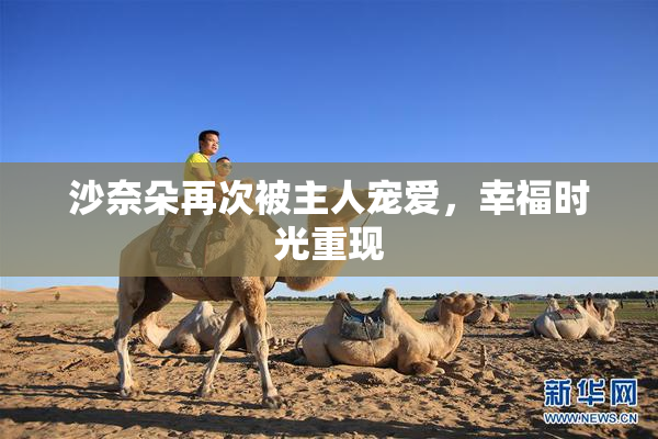 沙奈朵再次被主人宠爱，幸福时光重现