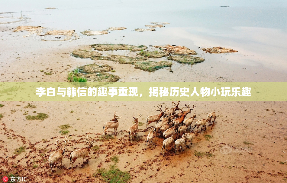 李白与韩信的趣事重现，揭秘历史人物小玩乐趣