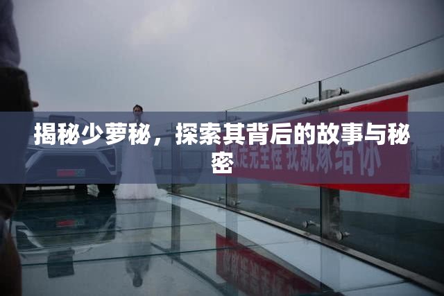 揭秘少萝秘，探索其背后的故事与秘密