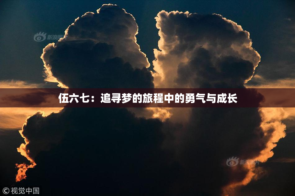 伍六七：追寻梦的旅程中的勇气与成长