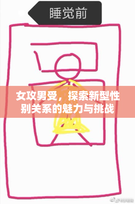 女攻男受，探索新型性别关系的魅力与挑战