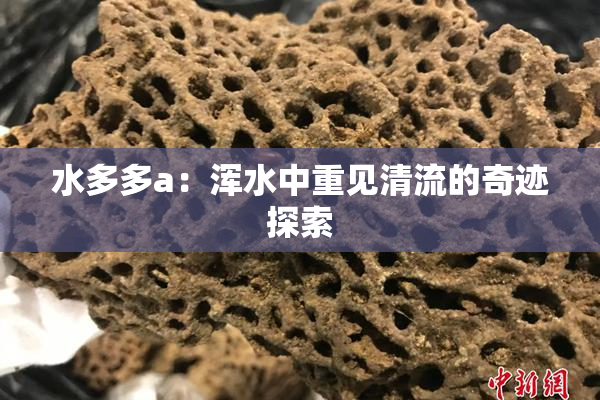 水多多a：浑水中重见清流的奇迹探索
