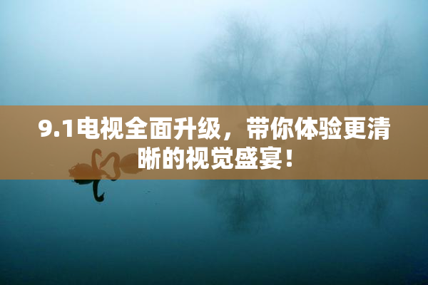 9.1电视全面升级，带你体验更清晰的视觉盛宴！