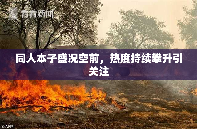 同人本子盛况空前，热度持续攀升引关注