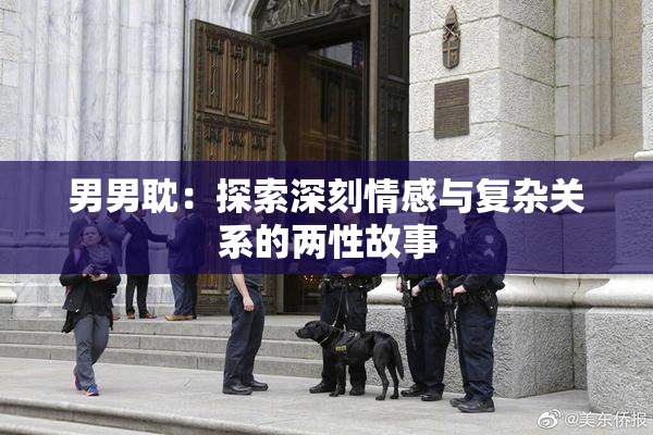 男男耽：探索深刻情感与复杂关系的两性故事