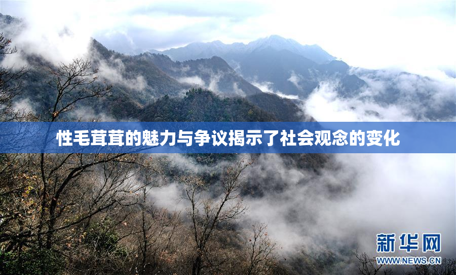 性毛茸茸的魅力与争议揭示了社会观念的变化