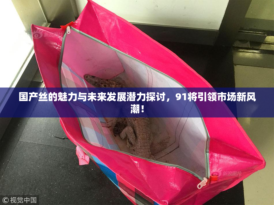 国产丝的魅力与未来发展潜力探讨，91将引领市场新风潮！
