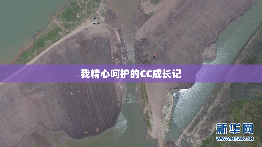 我精心呵护的CC成长记