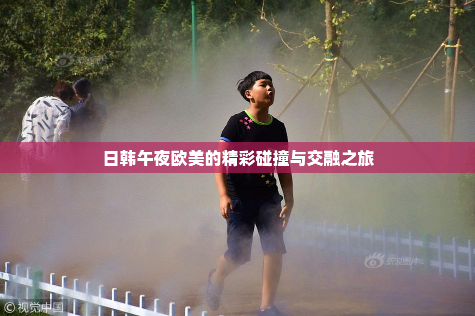 日韩午夜欧美的精彩碰撞与交融之旅