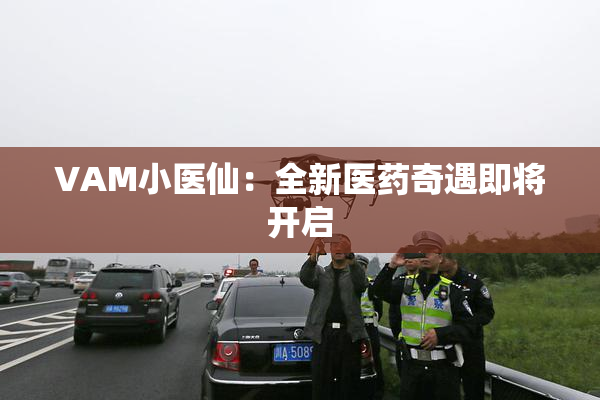VAM小医仙：全新医药奇遇即将开启