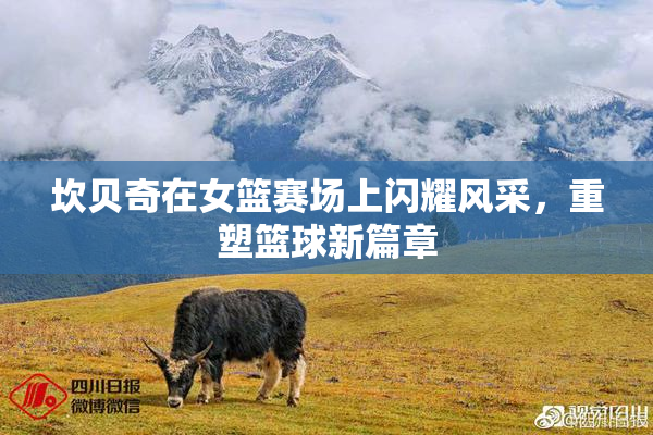 坎贝奇在女篮赛场上闪耀风采，重塑篮球新篇章