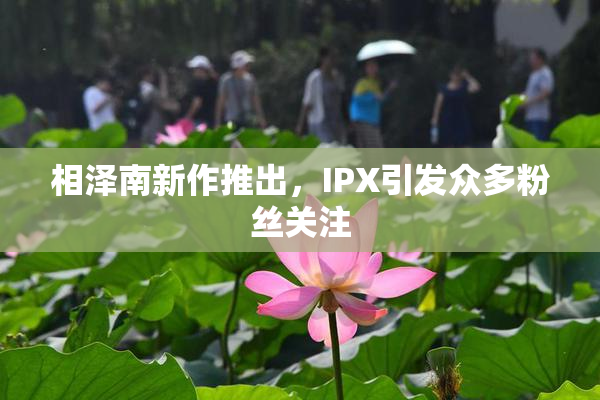 相泽南新作推出，IPX引发众多粉丝关注