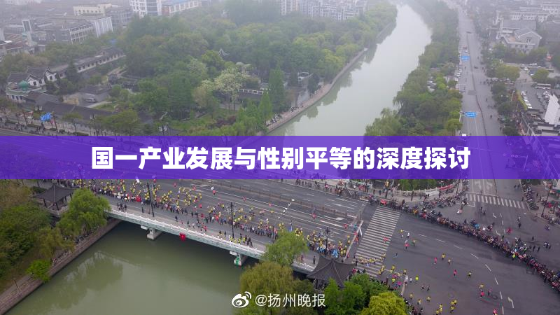 国一产业发展与性别平等的深度探讨