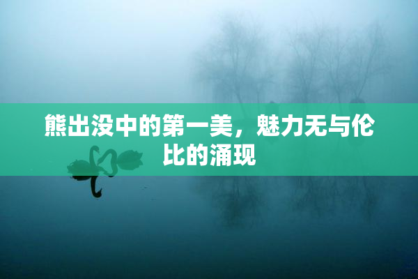 熊出没中的第一美，魅力无与伦比的涌现