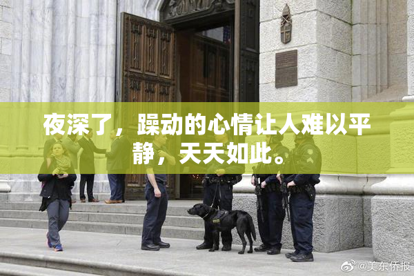 夜深了，躁动的心情让人难以平静，天天如此。