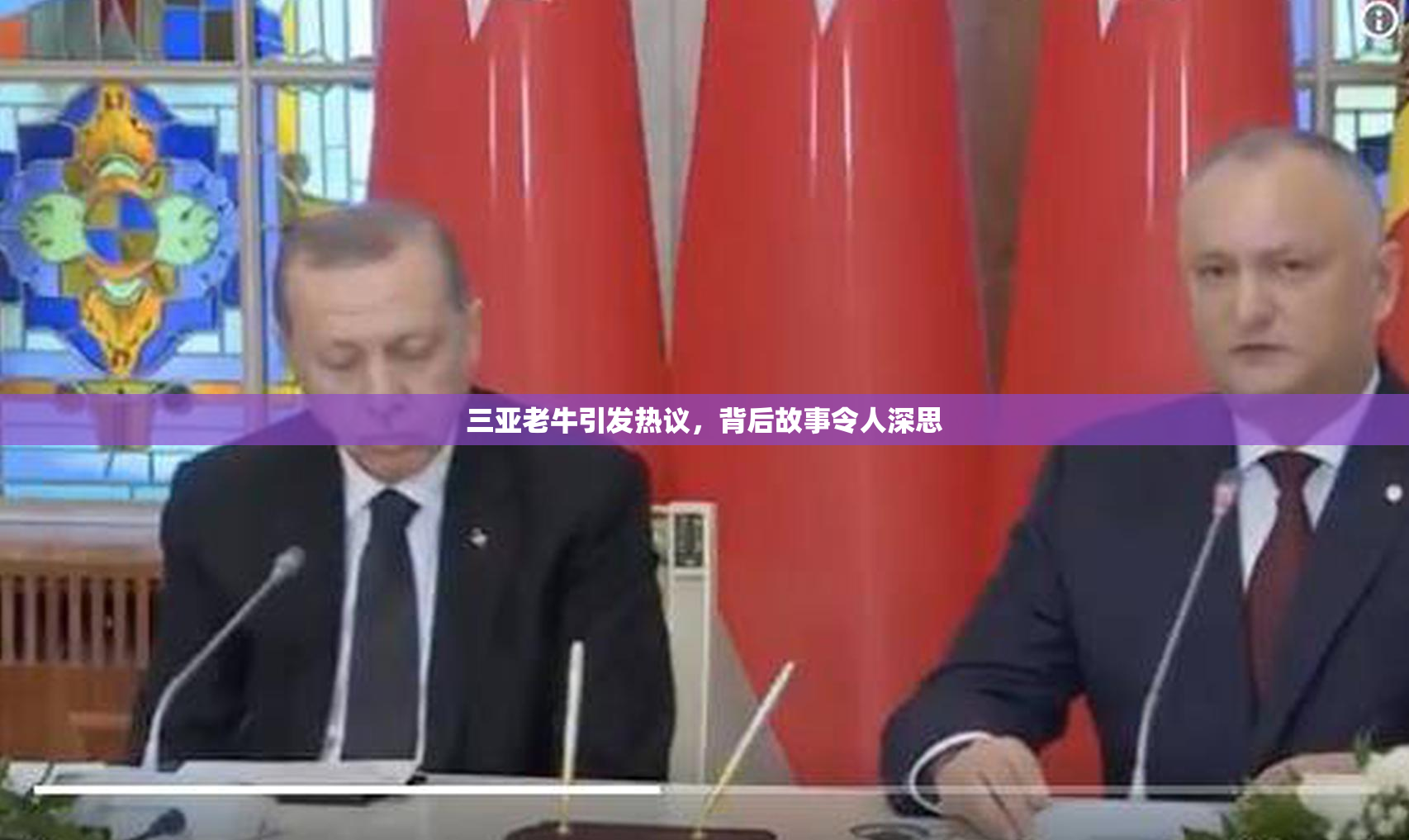 三亚老牛引发热议，背后故事令人深思