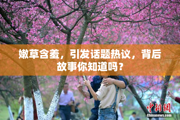 嫩草含羞，引发话题热议，背后故事你知道吗？
